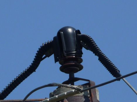P1080289