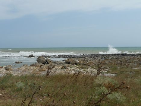 P1080680