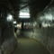Picture 012
