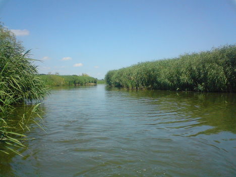 DSC00809