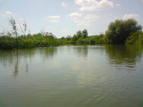 DSC00816
