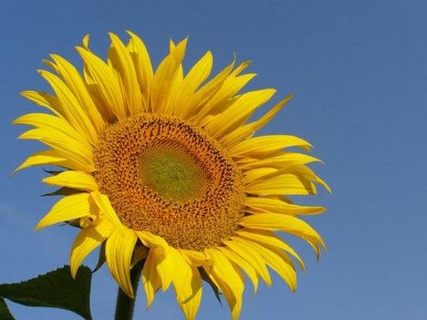 1473193_7fa75c0c71fd1c1fa1addf0b8a383ea8_m