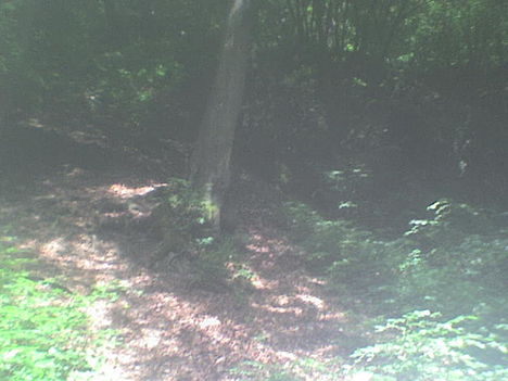 DSC05834