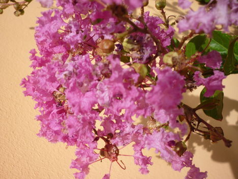 P1070371