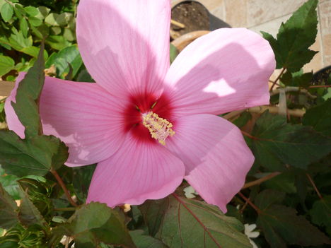 P1070372