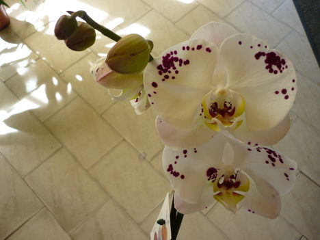 P1070393