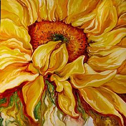 SUNFLOWER-30