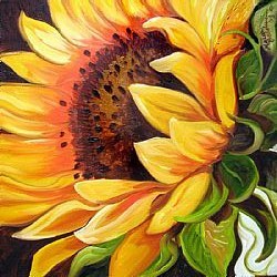 SUNNY-12-SUNFLOWER