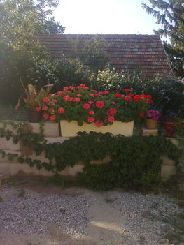 Család Gyerek 092