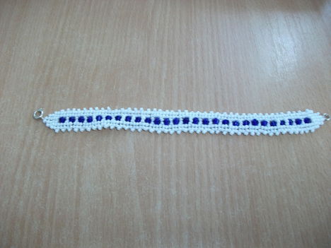 DSCF1359