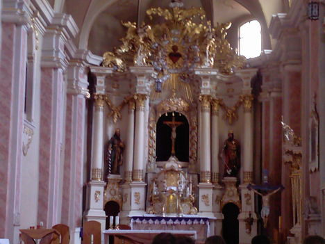 cluj50
