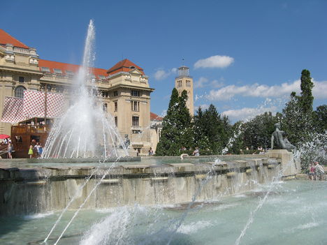 DebrecenVirágkarnevá2011 006