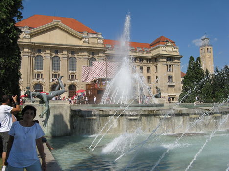 DebrecenVirágkarnevá2011 010