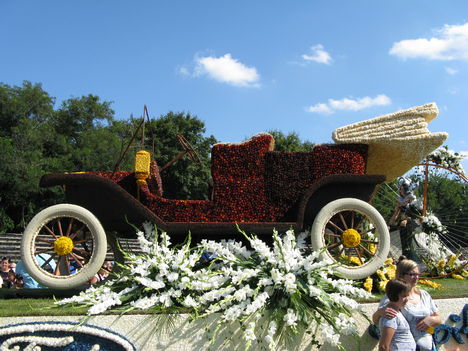 DebrecenVirágkarnevá2011 034