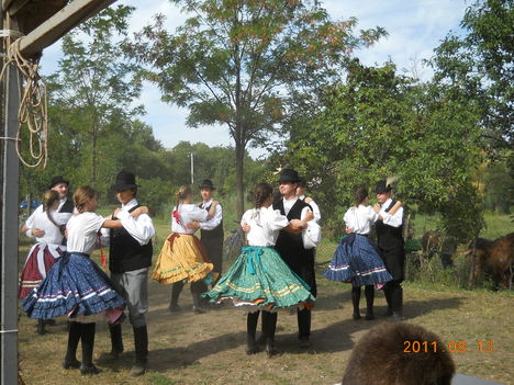 DSCN0732