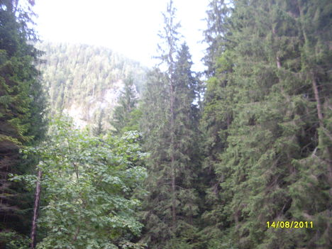 SDC13319