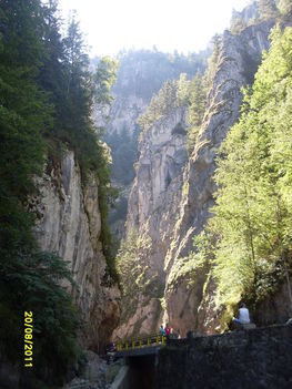 SDC13482