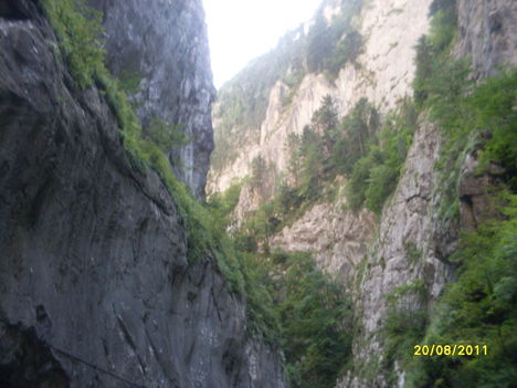 SDC13486