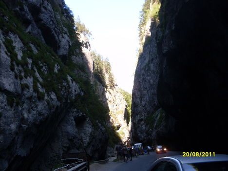 SDC13488