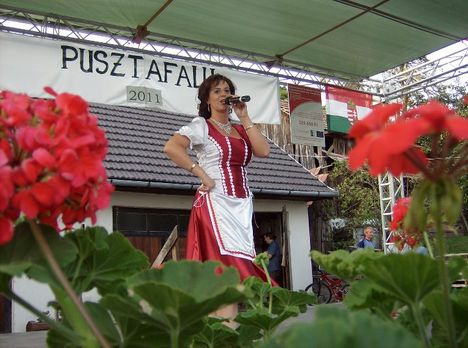 Pusztafalu 2011 