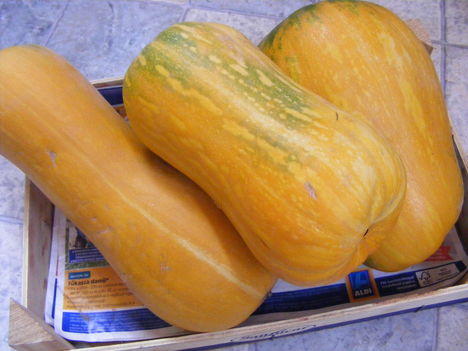 Sütőtök2