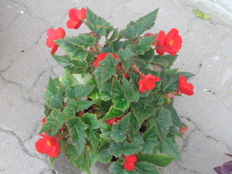 011