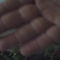 154015