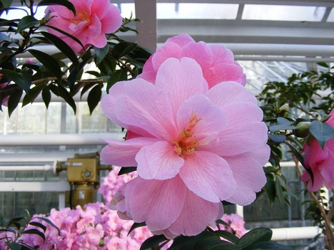 2008_02280072
