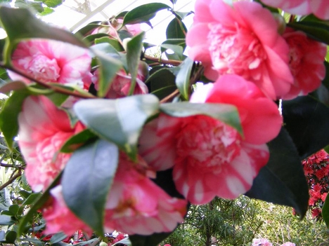 2008_02280075