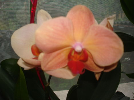 2011.07.