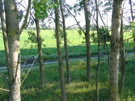 a vadászlesnél
