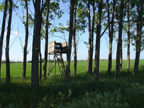 a vadászlesnél
