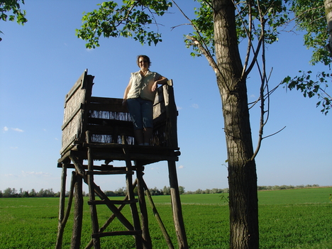 a vadászlesnél