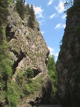 DSC00214