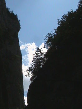 DSC00217