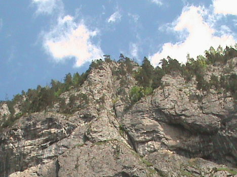 DSC00228