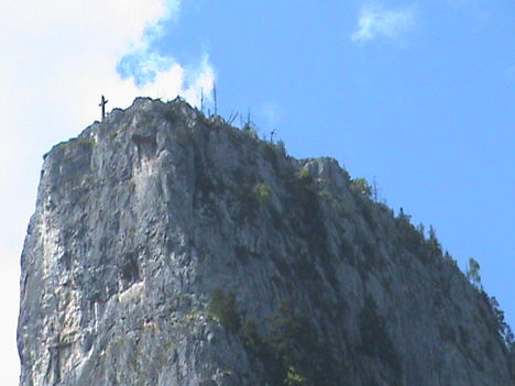 DSC00245