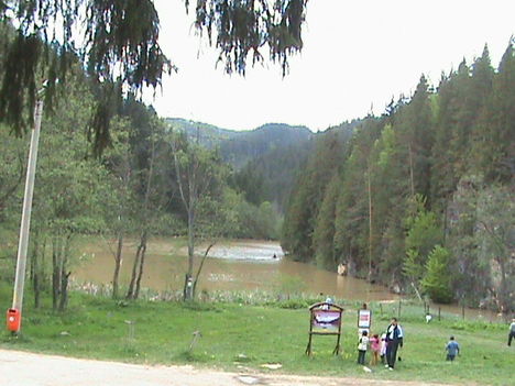 DSC00257