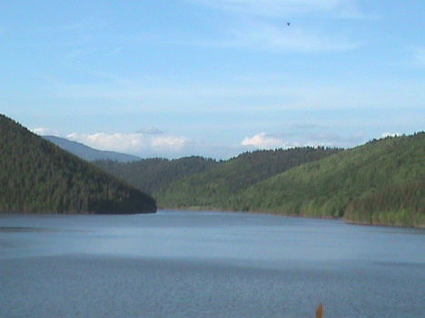 DSC00270