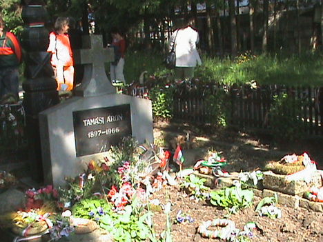 DSC00276