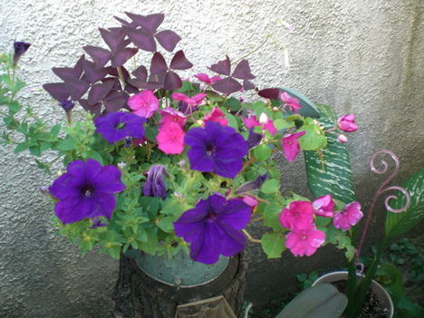 kertem 2011 6