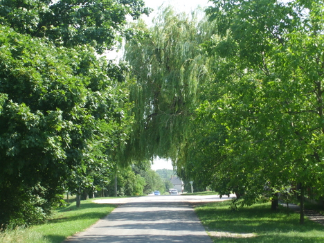 Utca részlet