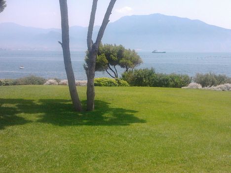 2011-08-03 13.43