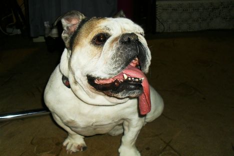 Matilda: 2