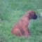 PICT0316