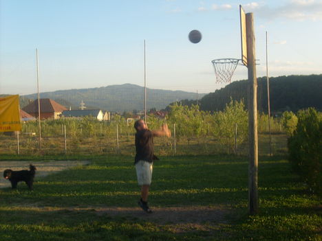 Picture 067