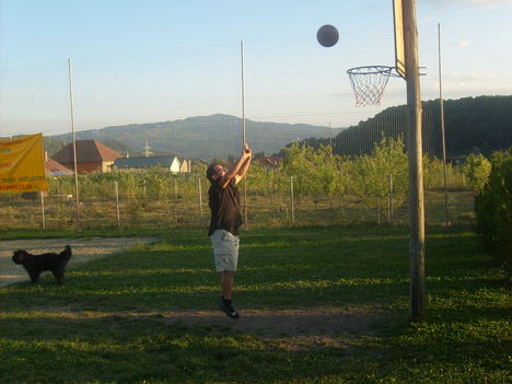 Picture 068