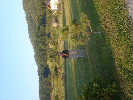 Picture 073