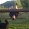 Picture 090