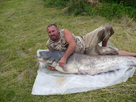 s39